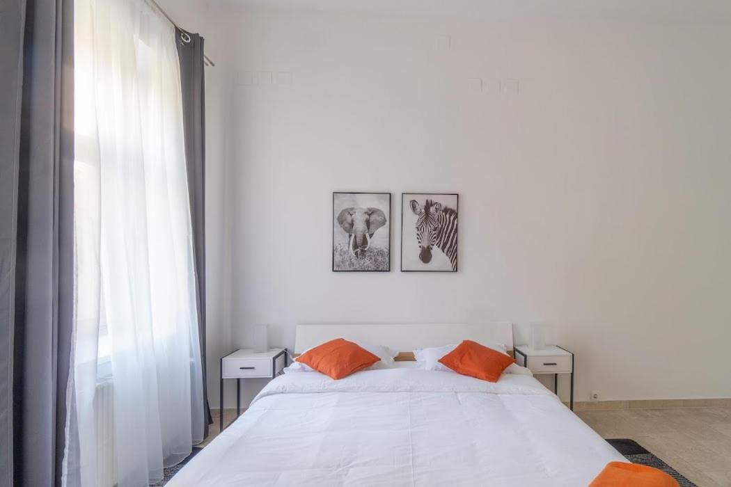 Centre Apartamento